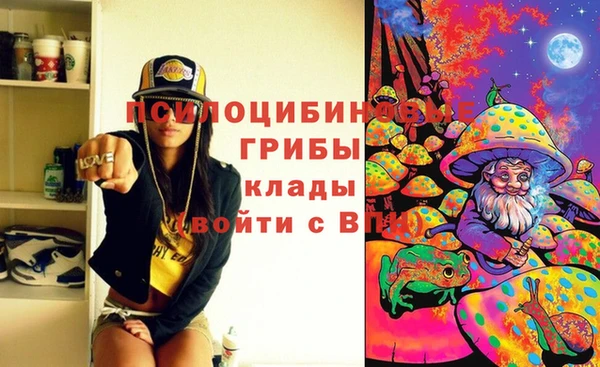 ПСИЛОЦИБИНОВЫЕ ГРИБЫ Богданович