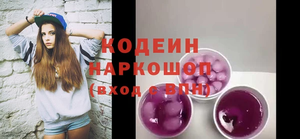 ПСИЛОЦИБИНОВЫЕ ГРИБЫ Богданович