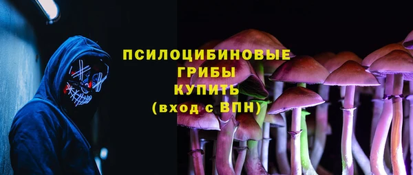 ПСИЛОЦИБИНОВЫЕ ГРИБЫ Богданович