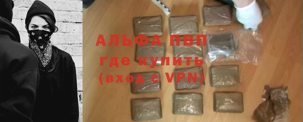 ПСИЛОЦИБИНОВЫЕ ГРИБЫ Богданович