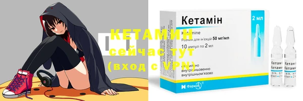 ПСИЛОЦИБИНОВЫЕ ГРИБЫ Богданович