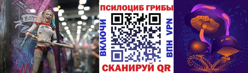 Псилоцибиновые грибы прущие грибы  Томилино 
